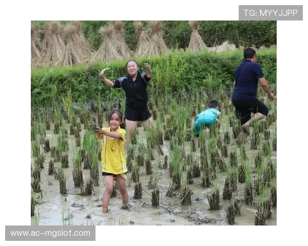 户外免费游戏推荐一览 让你轻松享受自然乐趣 户外免费游戏推荐一览 让你轻松享受自然乐趣